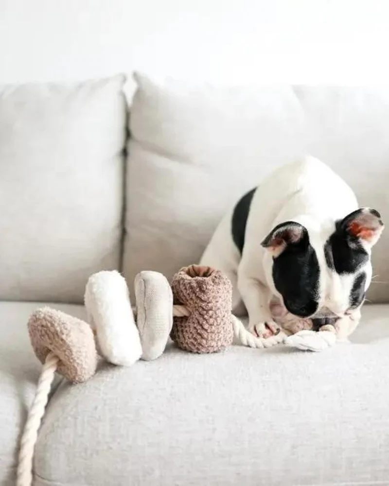 Blocs Interactive Tug Dog Toy - Image 6