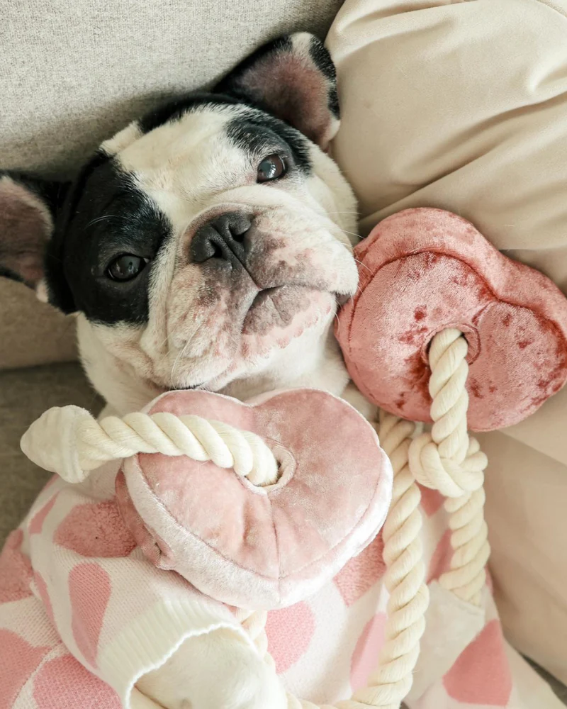 Heart Blocs Interactive Tug Dog Toy - Image 2