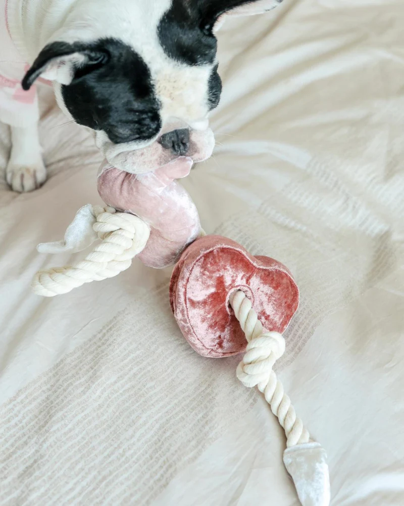 Heart Blocs Interactive Tug Dog Toy - Image 3