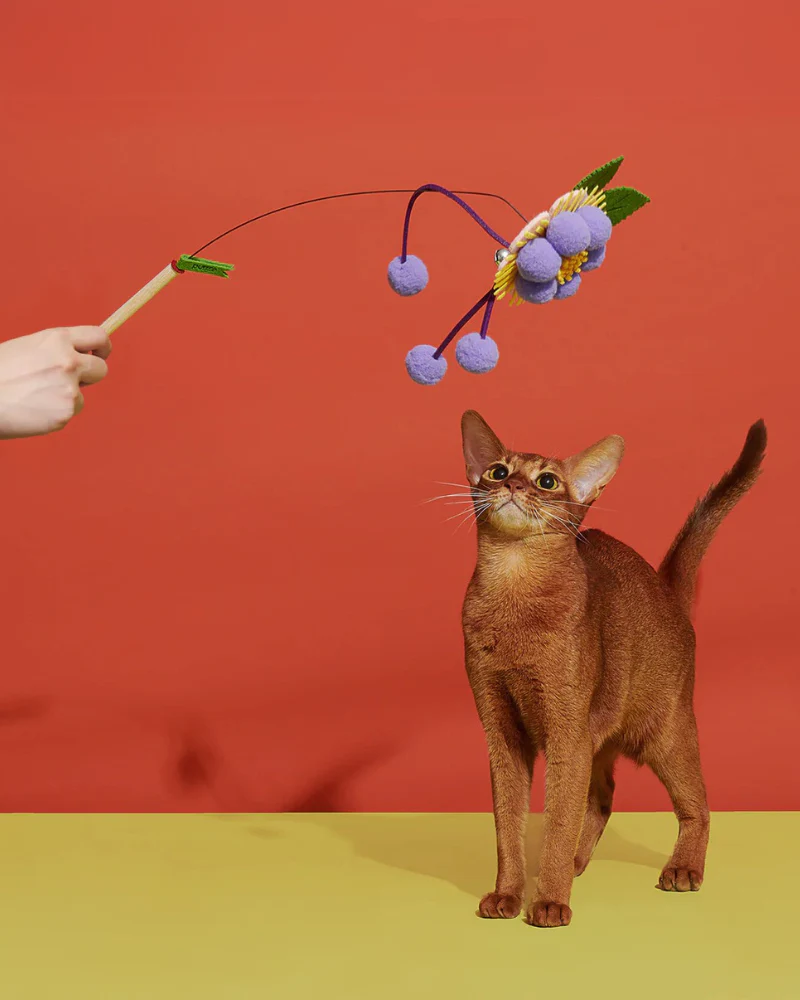 Blooming Cat Teaser Toy