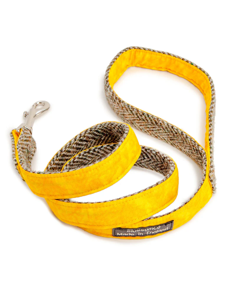 Eriskay Harris Tweed Dog Lead - Image 2