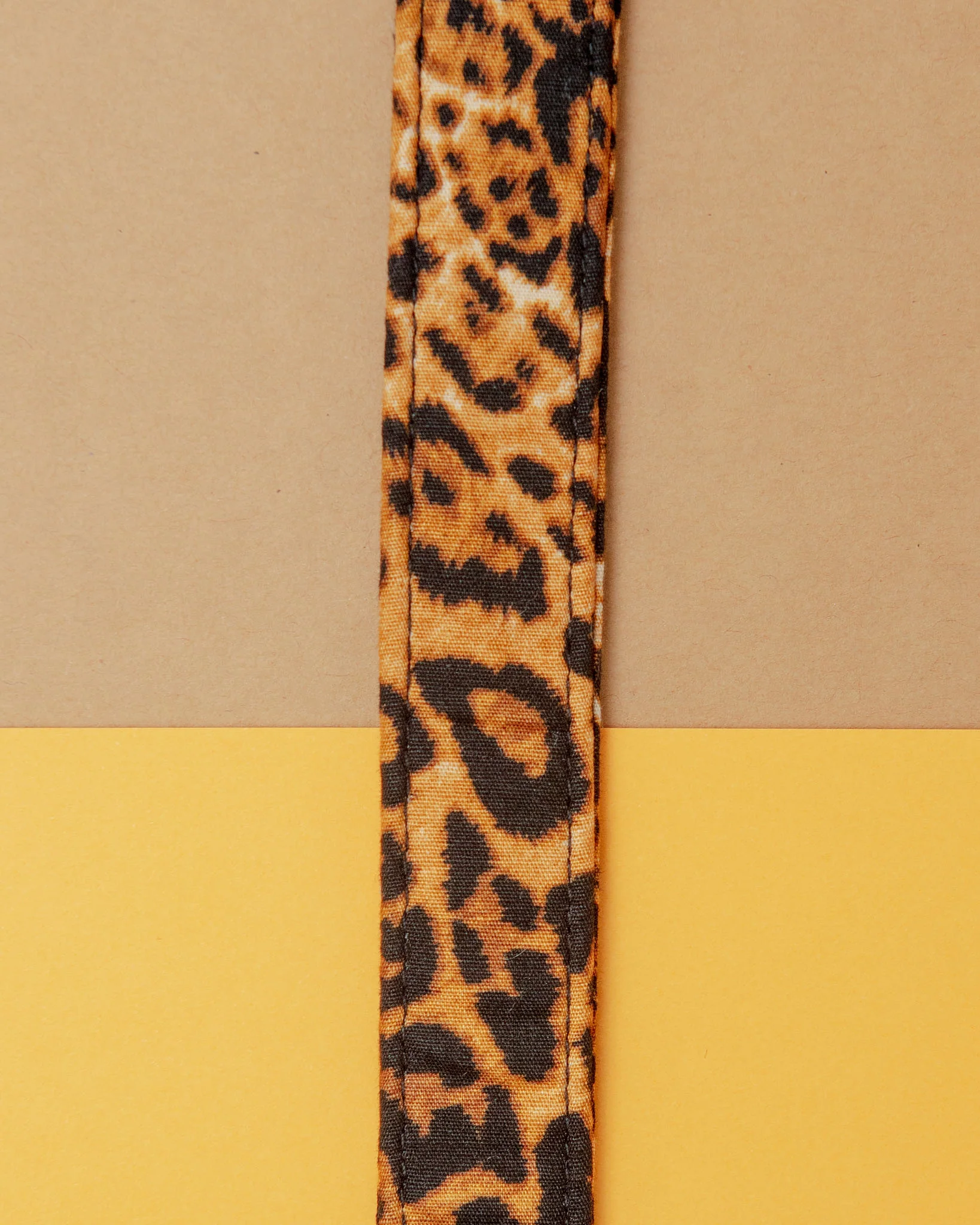 Leopard Dog Collar << CLEARANCE >> - Image 2