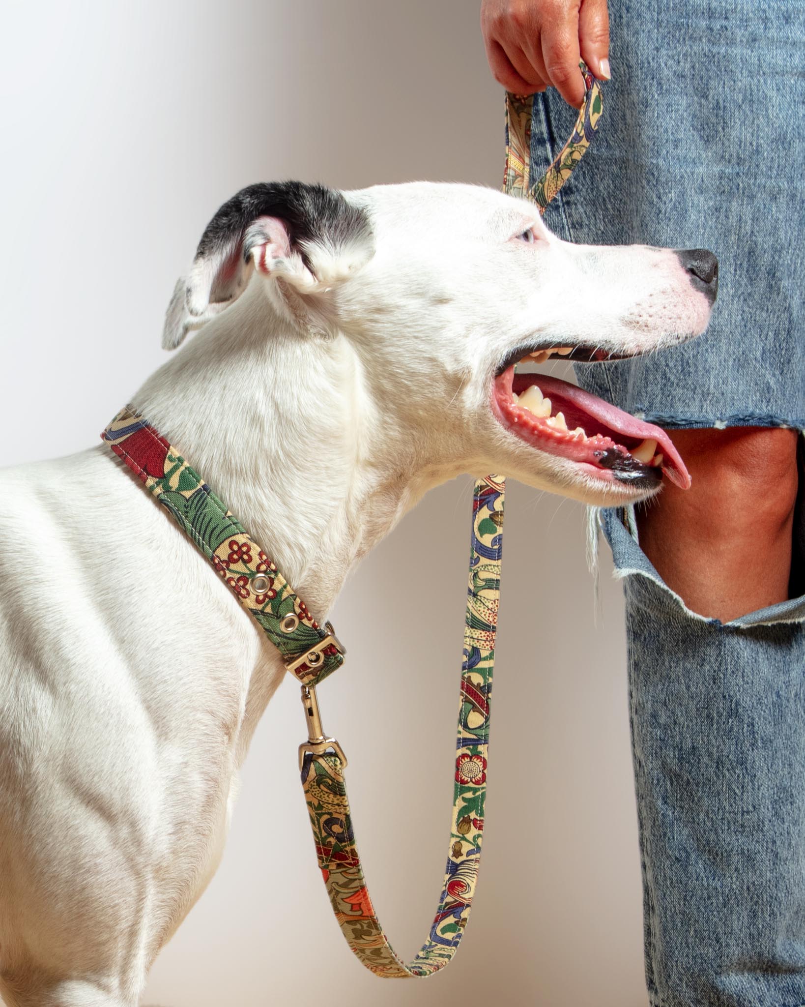 William Morris Golden Lily Dog Collar - Image 3