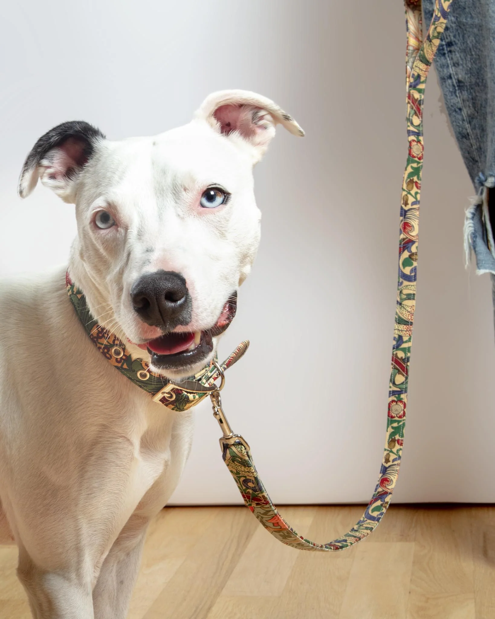 William Morris Golden Lily Dog Collar - Image 4
