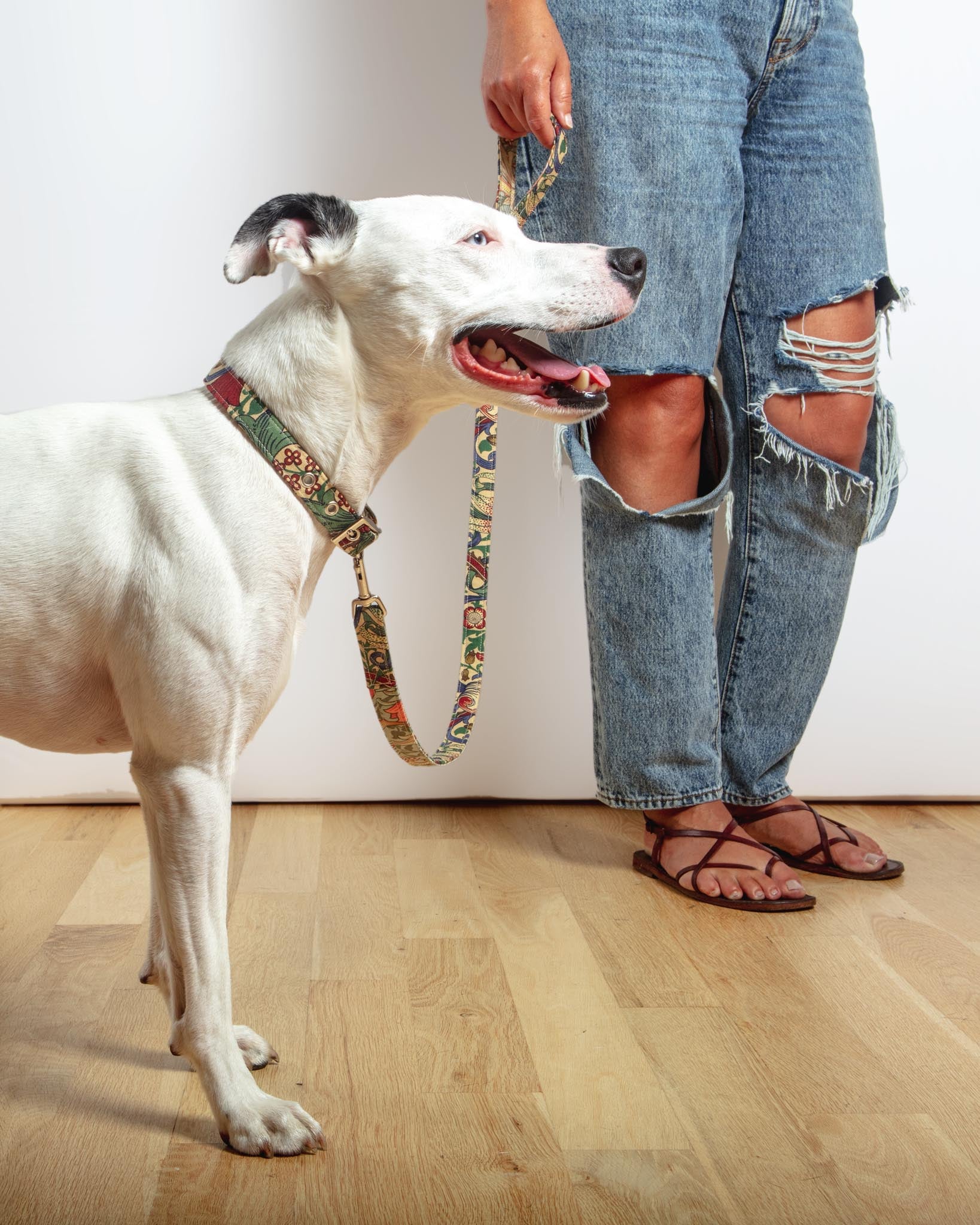 William Morris Golden Lily Dog Collar - Image 5