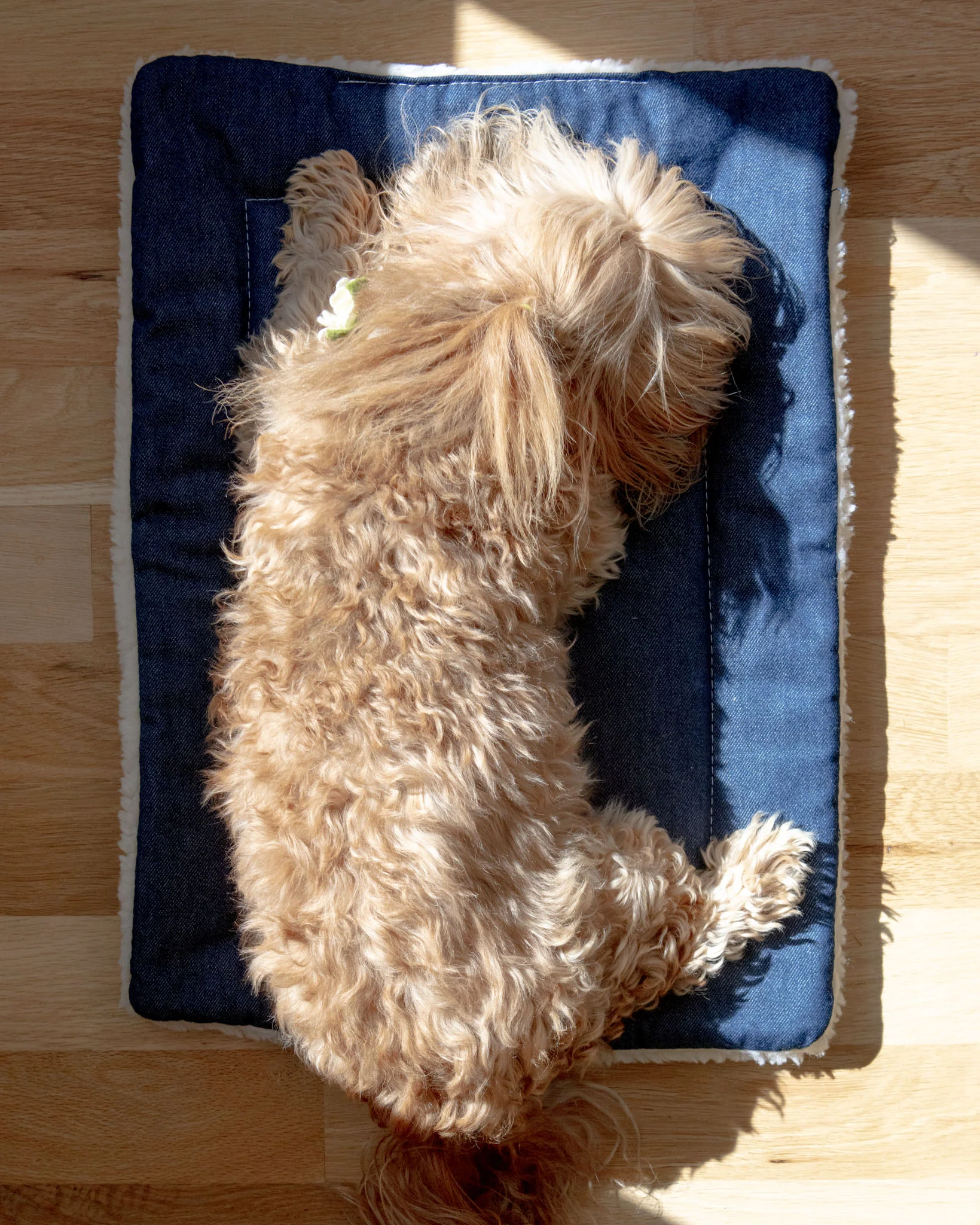 Blue Denim & Shearling Pet Napping Mat (Made in the USA) - Image 4