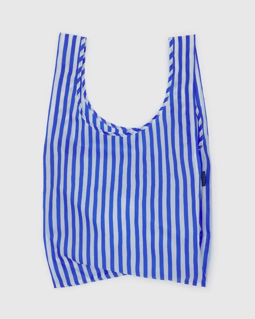 Blue Painted Stripe Standard Baggu - Image 3