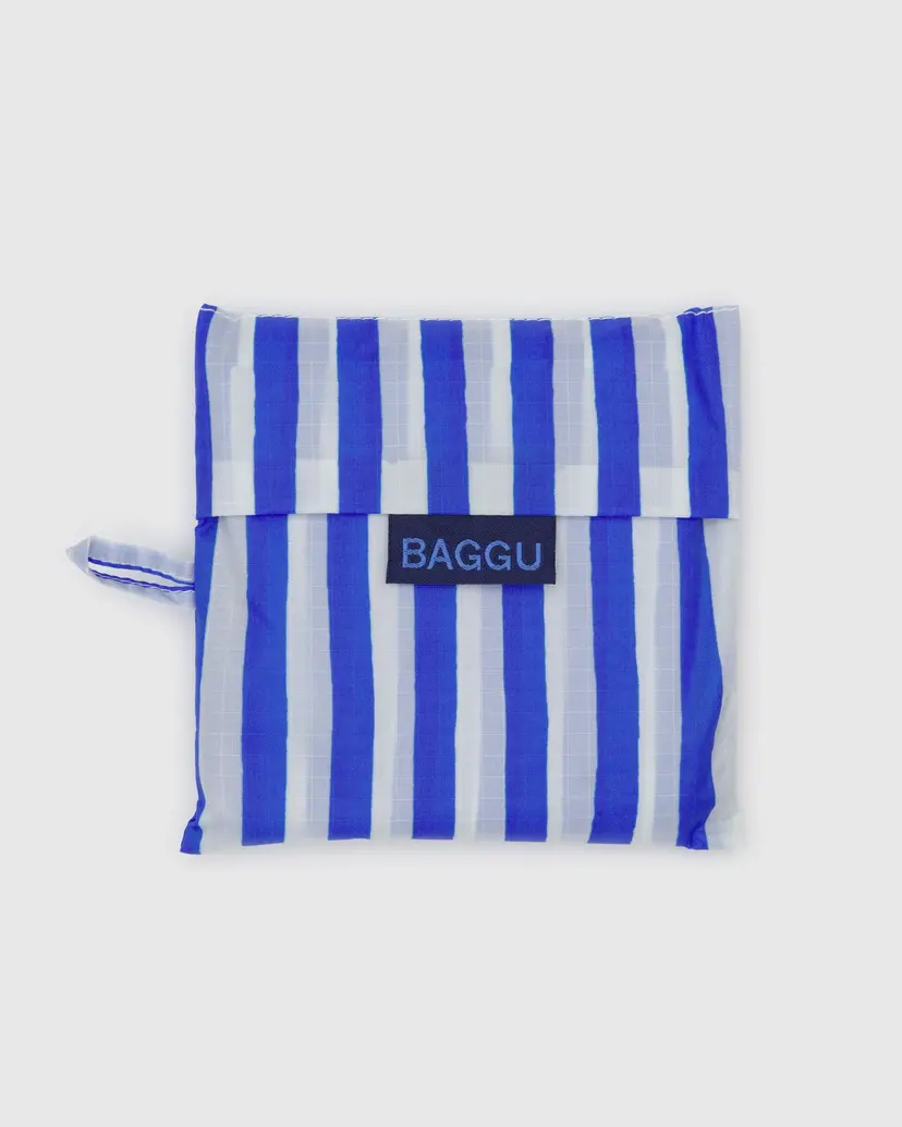 Blue Painted Stripe Standard Baggu - Image 4