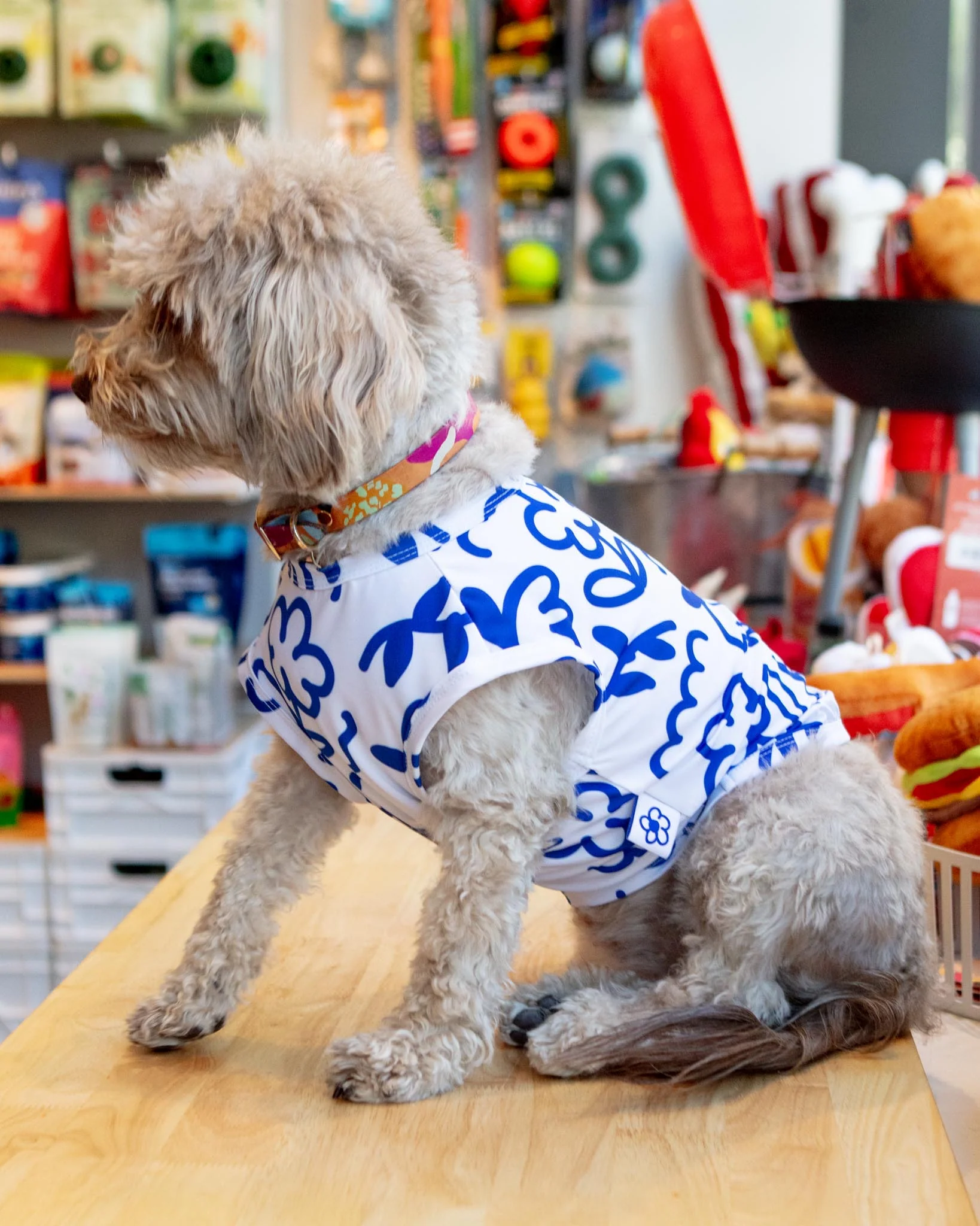 Blue Scribbles Cooling Dog Tee (FINAL SALE)