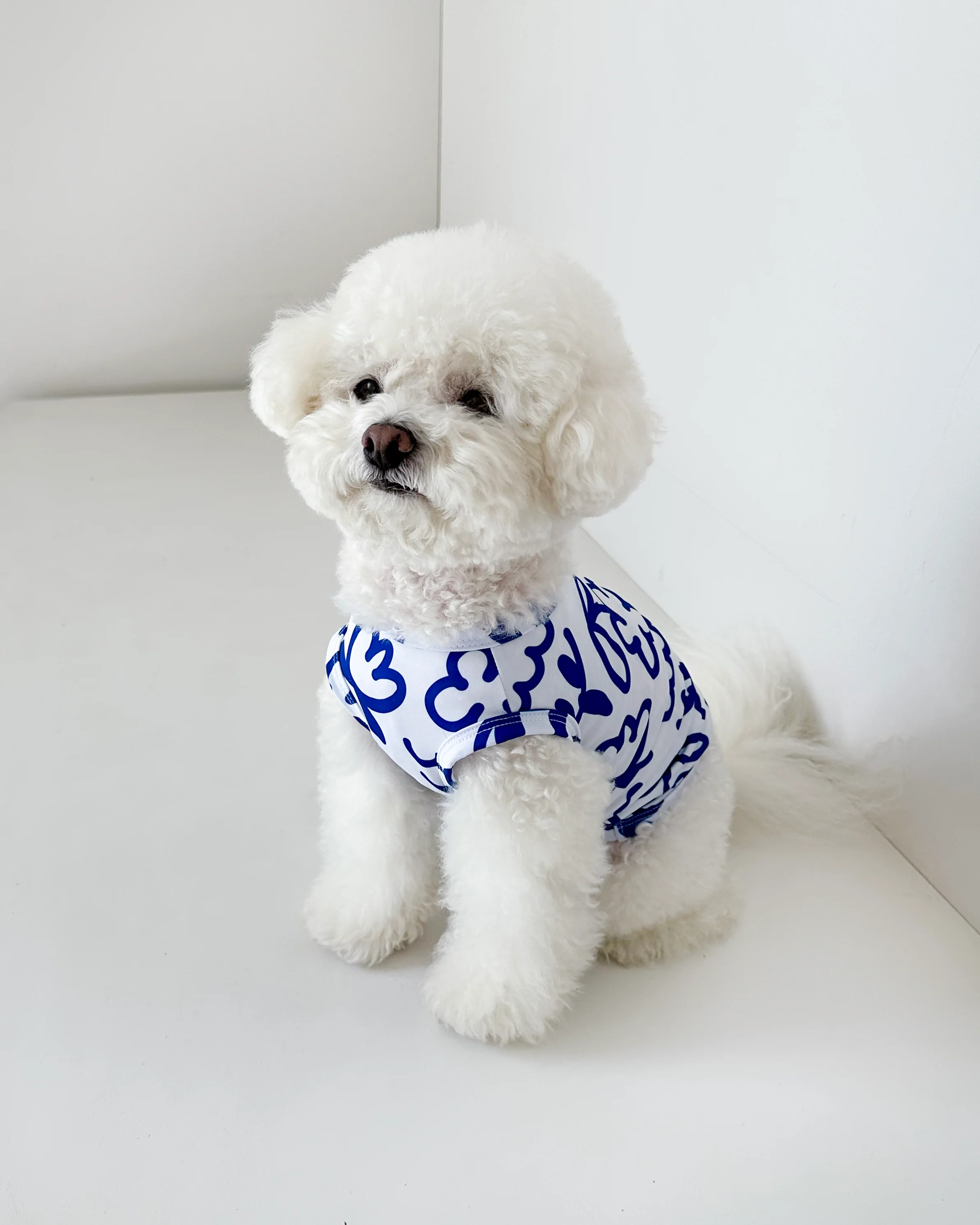 Blue Scribbles Cooling Dog Tee (FINAL SALE) - Image 4