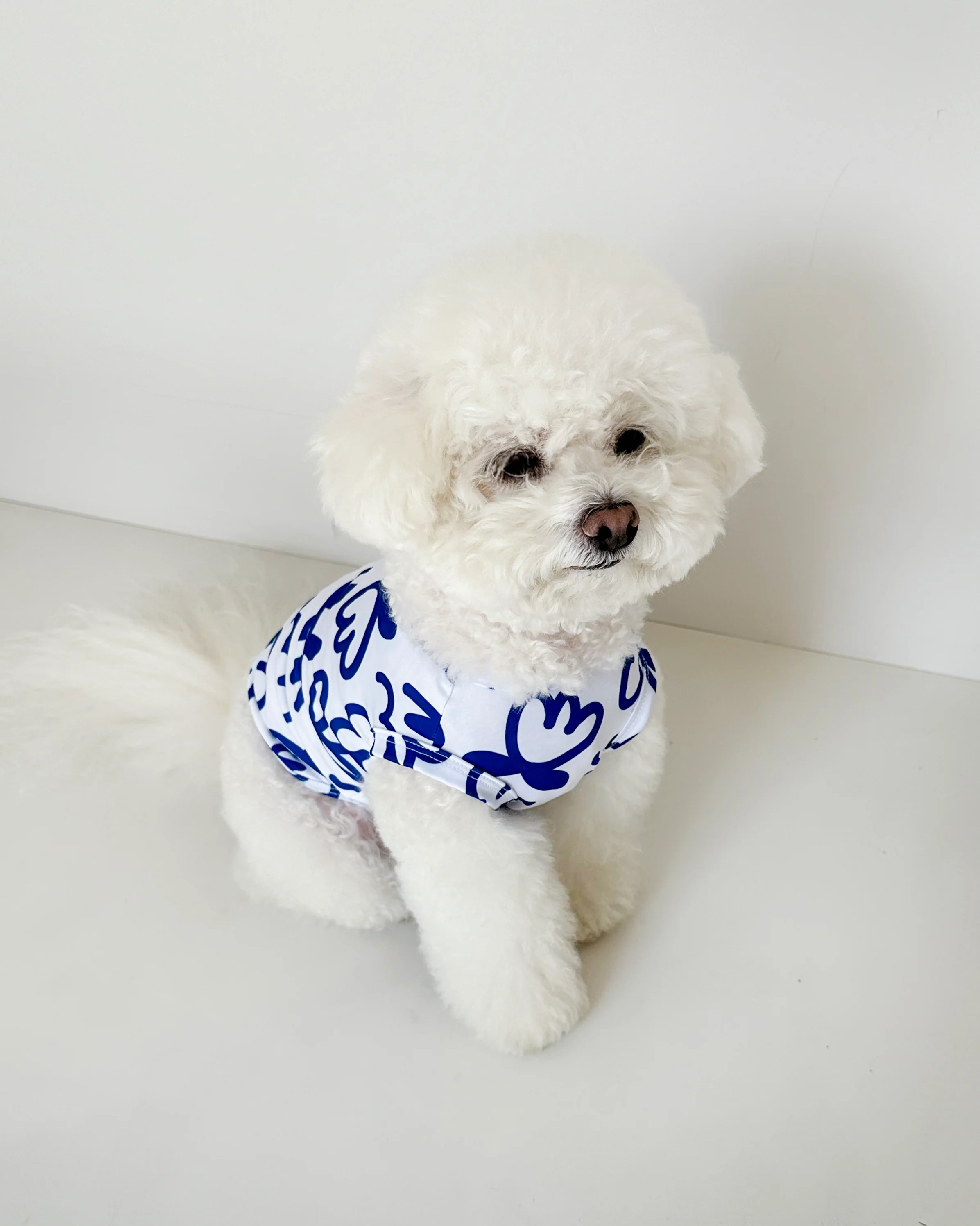 Blue Scribbles Cooling Dog Tee (FINAL SALE) - Image 9