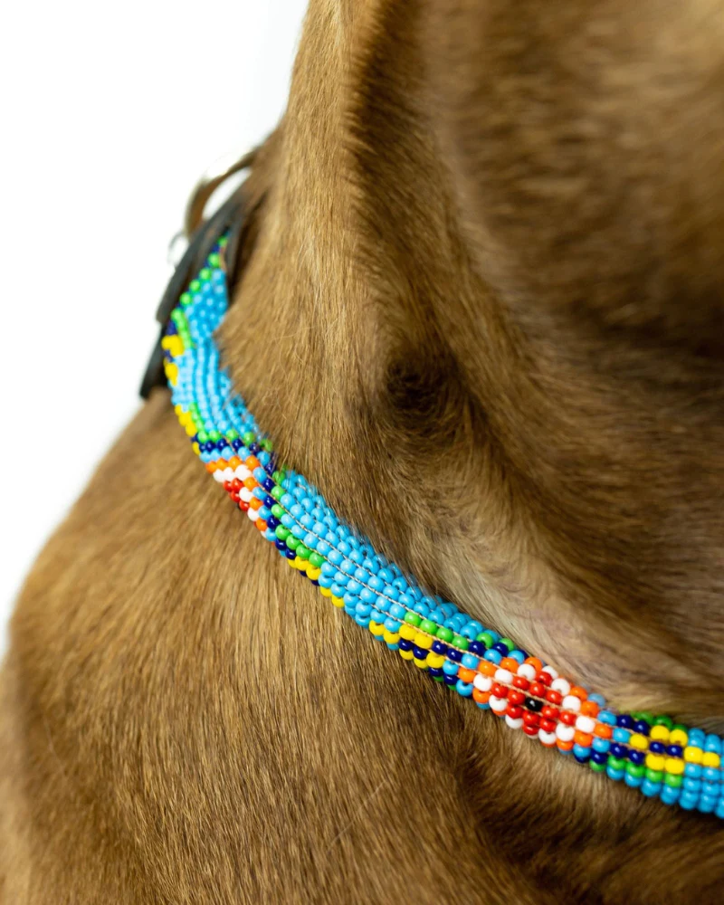 Blue Vogue Beaded Dog Collar (Rolled or Flat) - Image 5