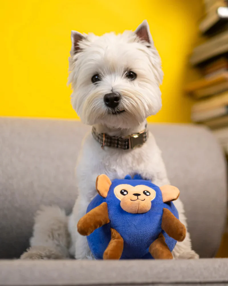 Blueberry Monkey Squeaky Plush Dog Toy - Image 2