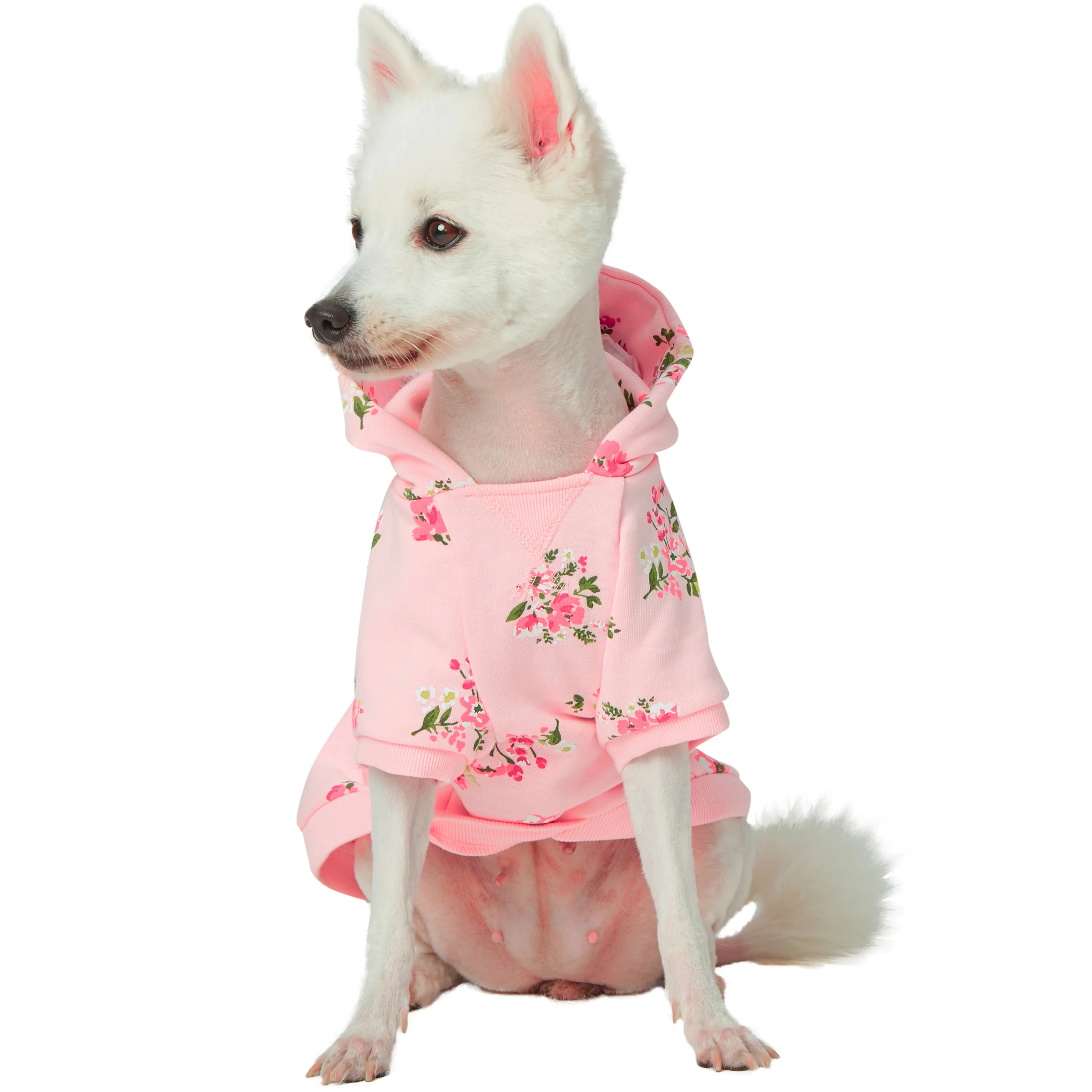 DOGS & CATS & CO. | Floral Sweatshirt in Pink - Image 2