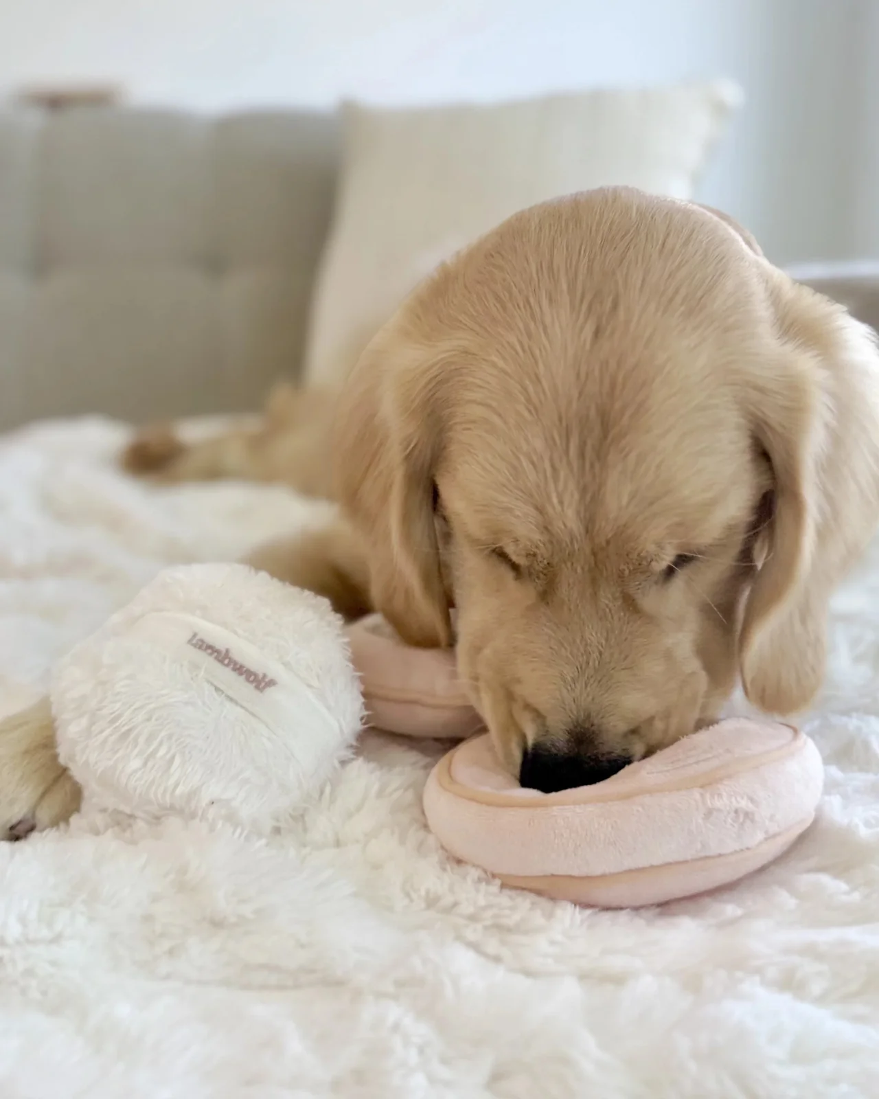 Blush Burrow + Snuffle Dog Toy - Image 5