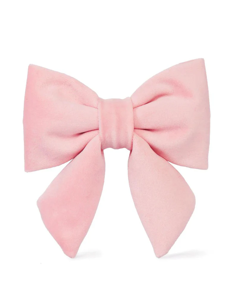 Blush Pink Velvet Dog Lady Bow (Made in the USA) - Image 4