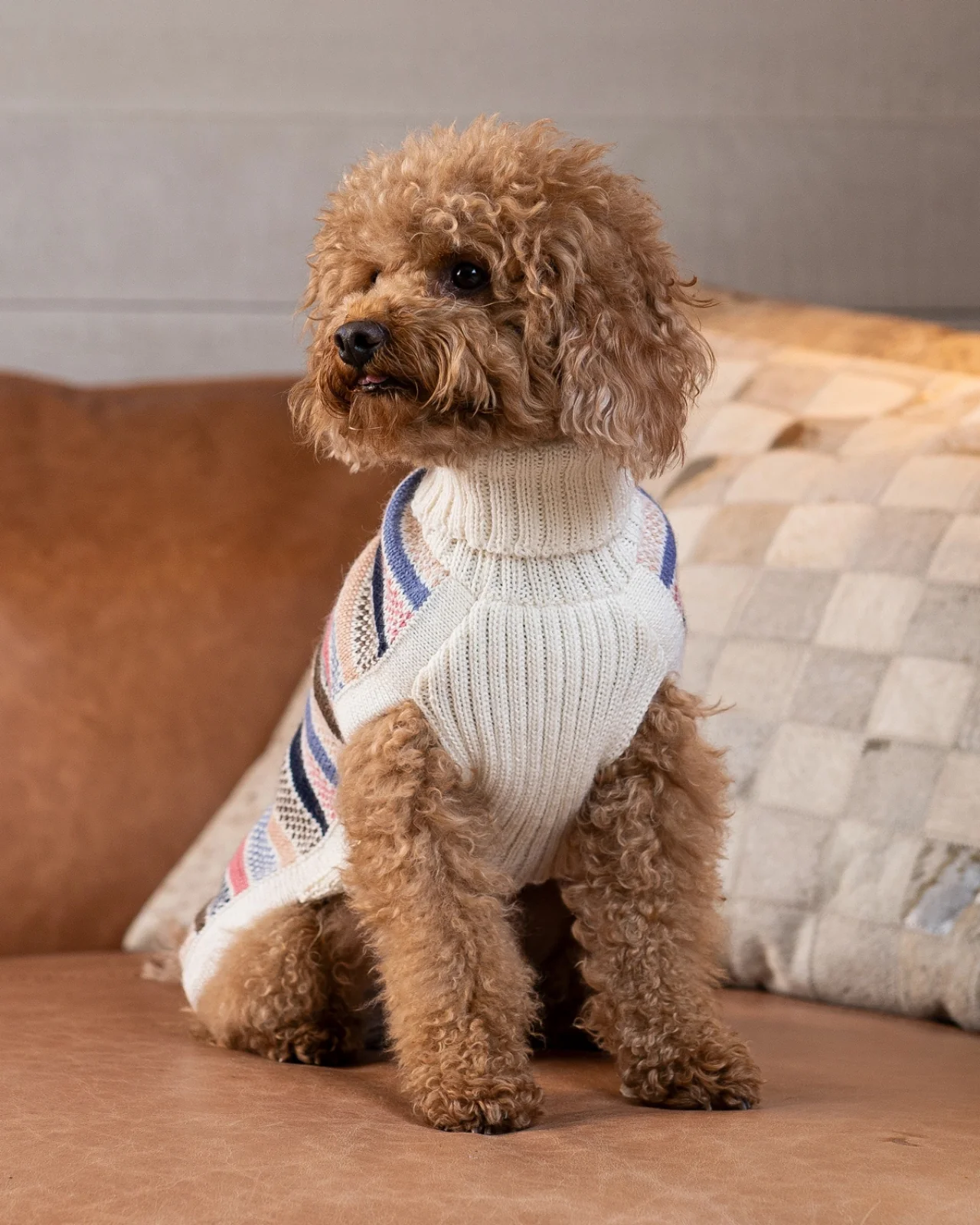 Blushline Stripe Alpaca Dog Sweater - Image 3