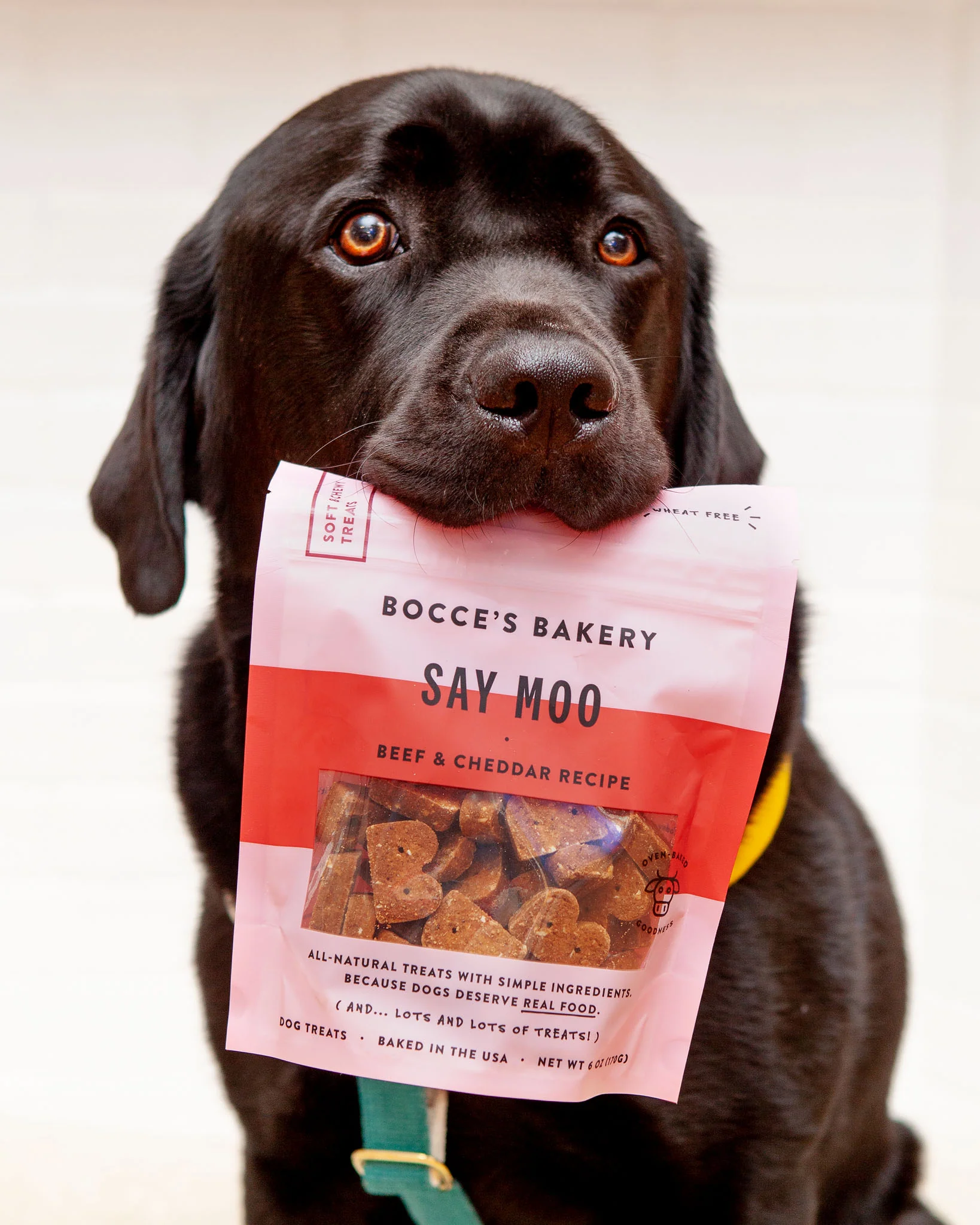 Say Moo Soft & Chewy Dog Treats - Image 2