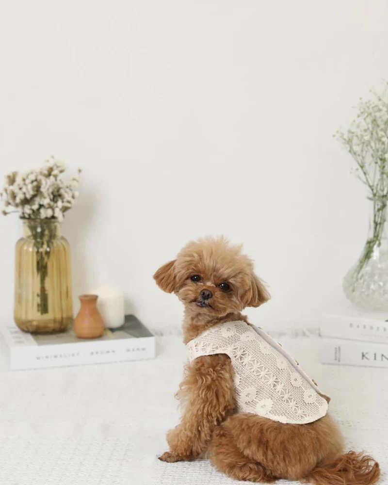 Boho Lace Dog Vest - Image 2