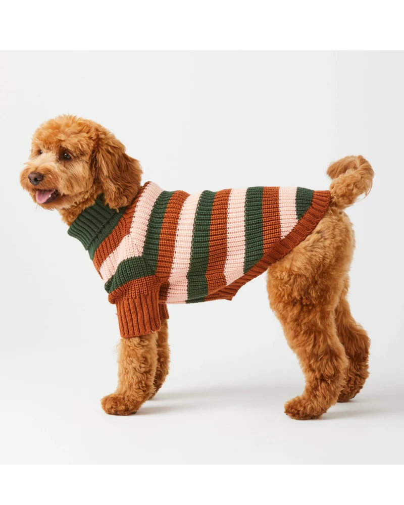 Bold Stripe Dog Sweater (FINAL SALE) - Image 4