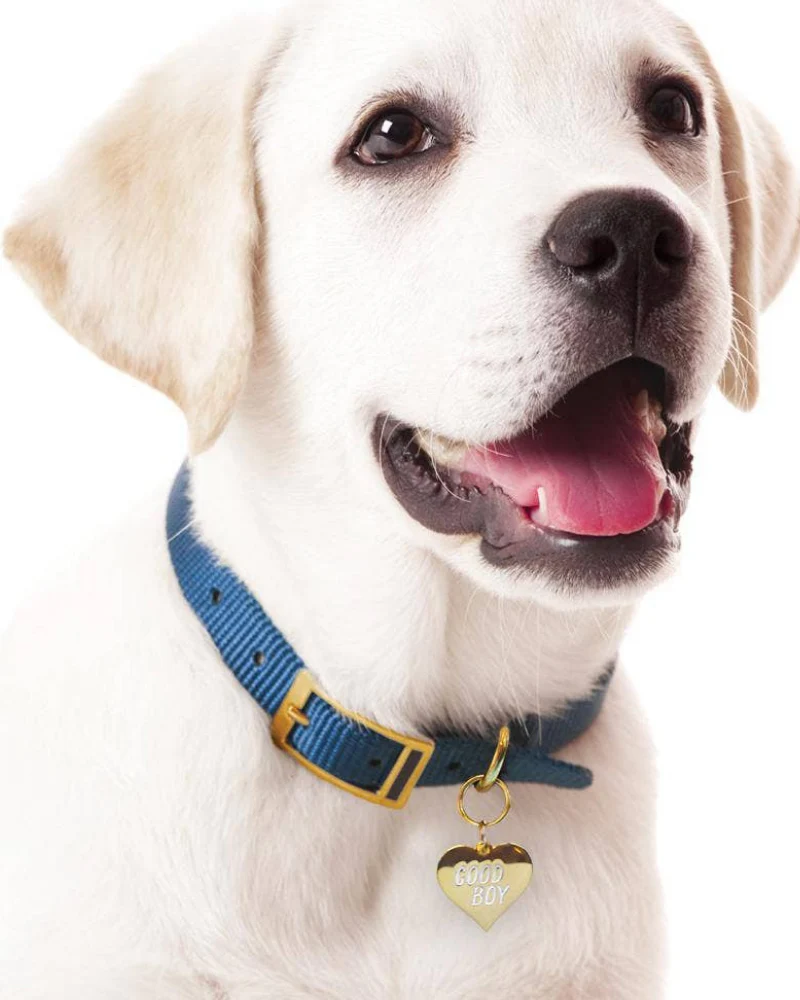 Good Boy Pet Tag - Image 3