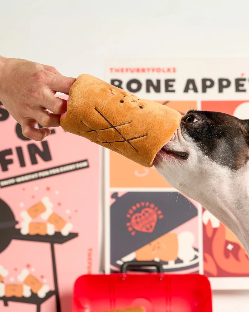 Bone Appétit Nosework Dog Toy - Image 4