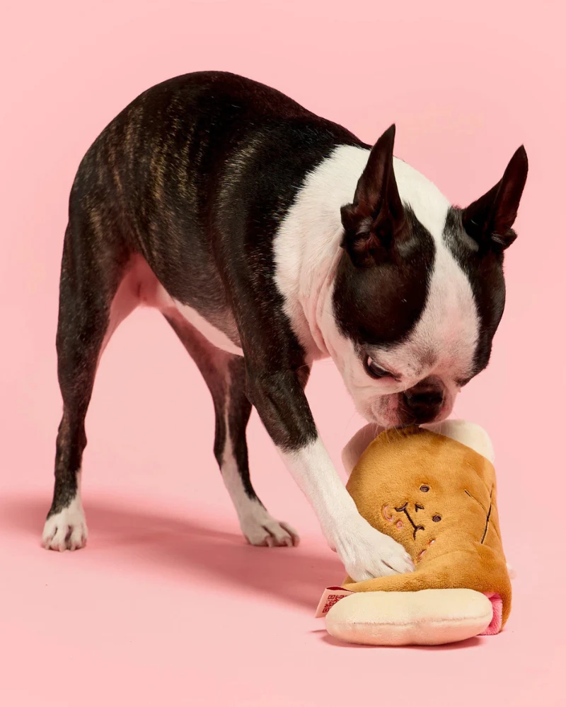 Bone Appétit Nosework Dog Toy - Image 5