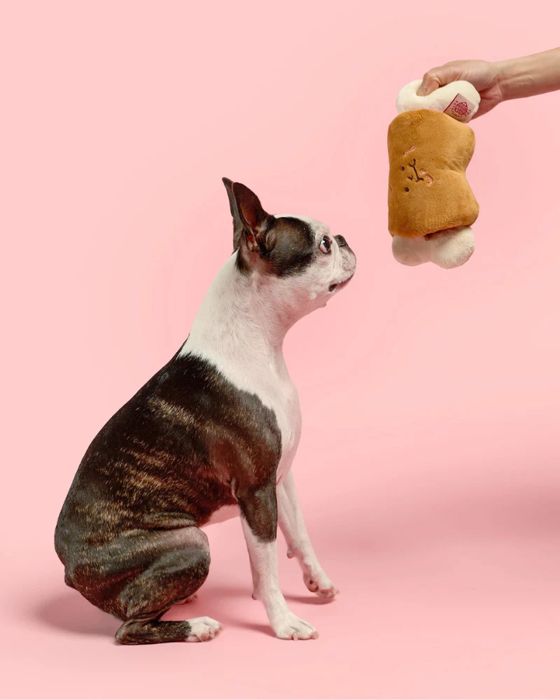Bone Appétit Nosework Dog Toy - Image 6