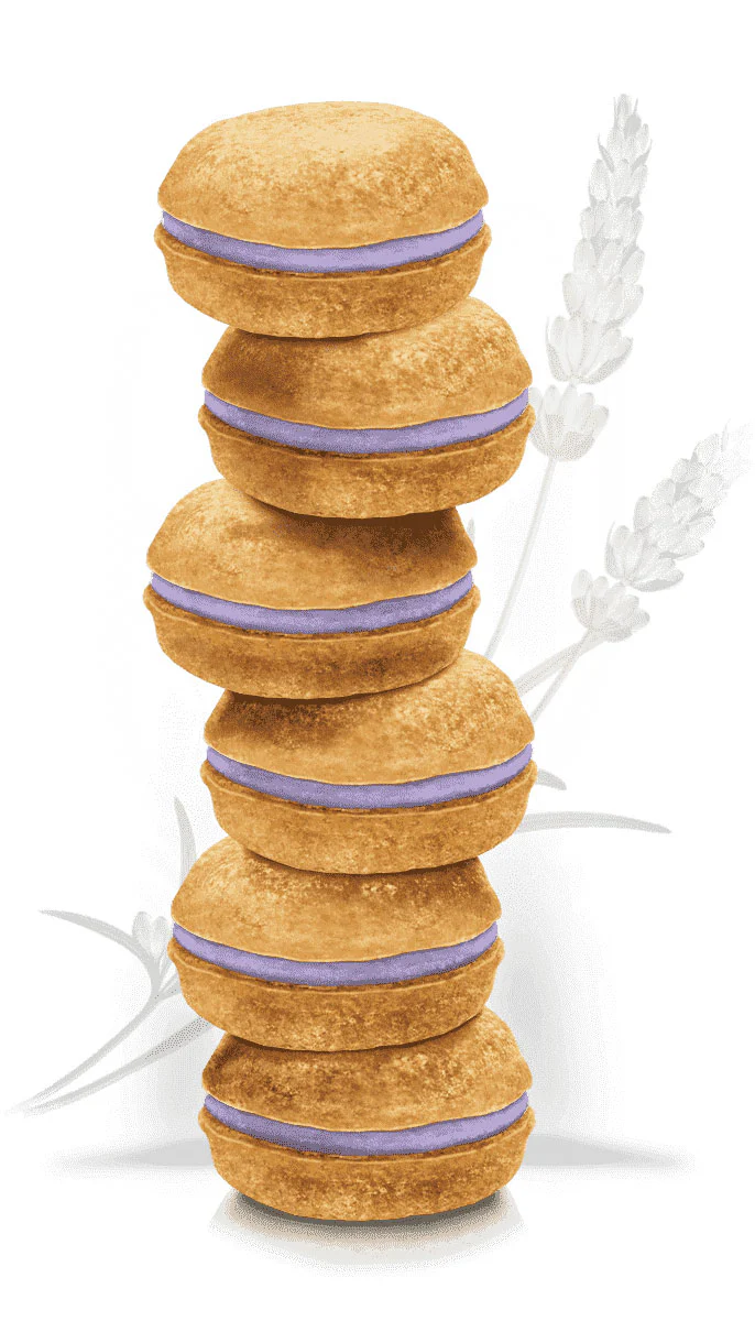 Lavender Macarons Dog Treat Box Set << FINAL SALE >> - Image 5