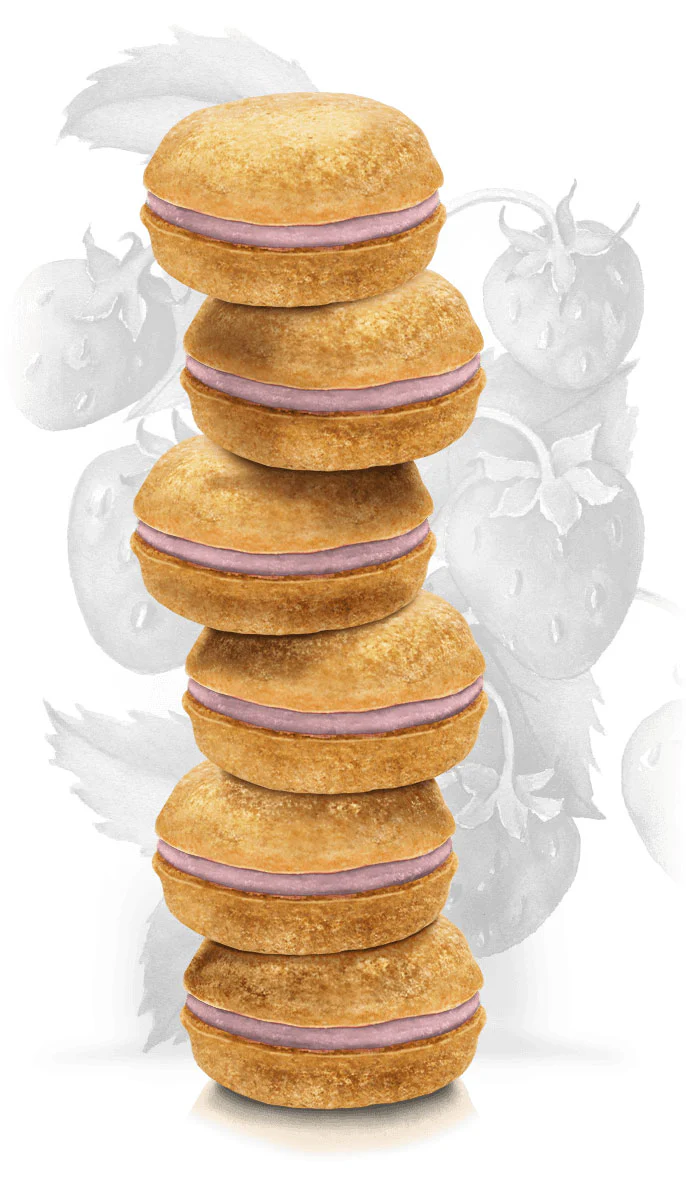 Strawberry Macarons Dog Treat Box Set << FINAL SALE >> - Image 5