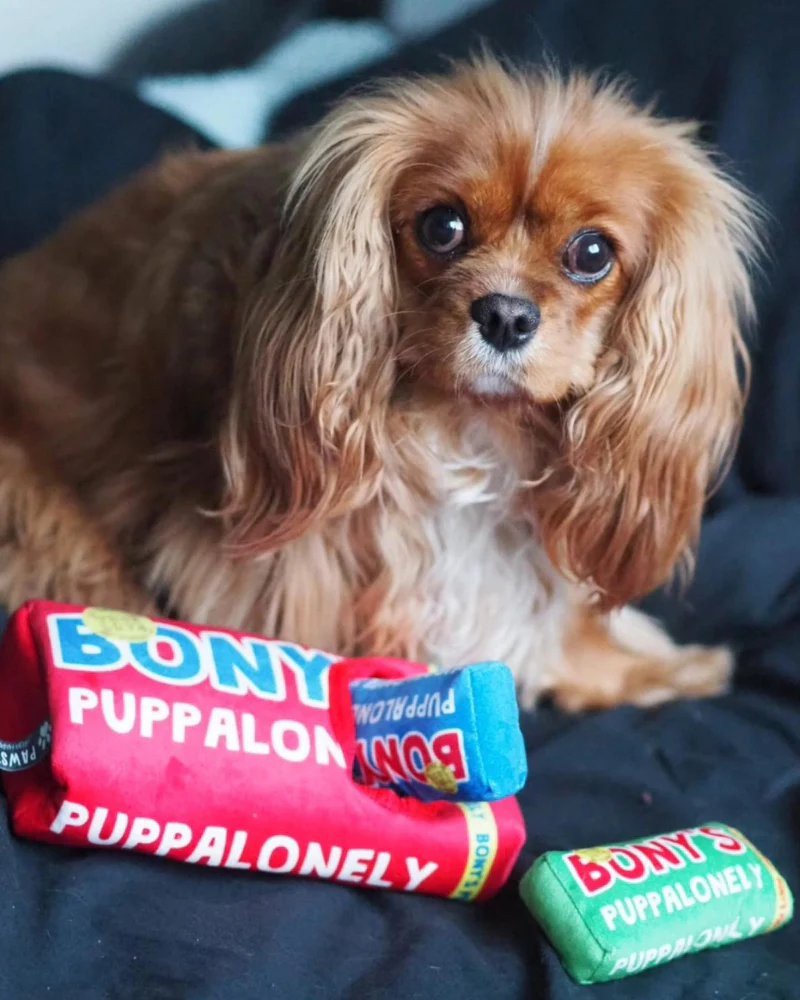 Bony's Puppalonely Snuffle Dog Toy (FINAL SALE) - Image 7