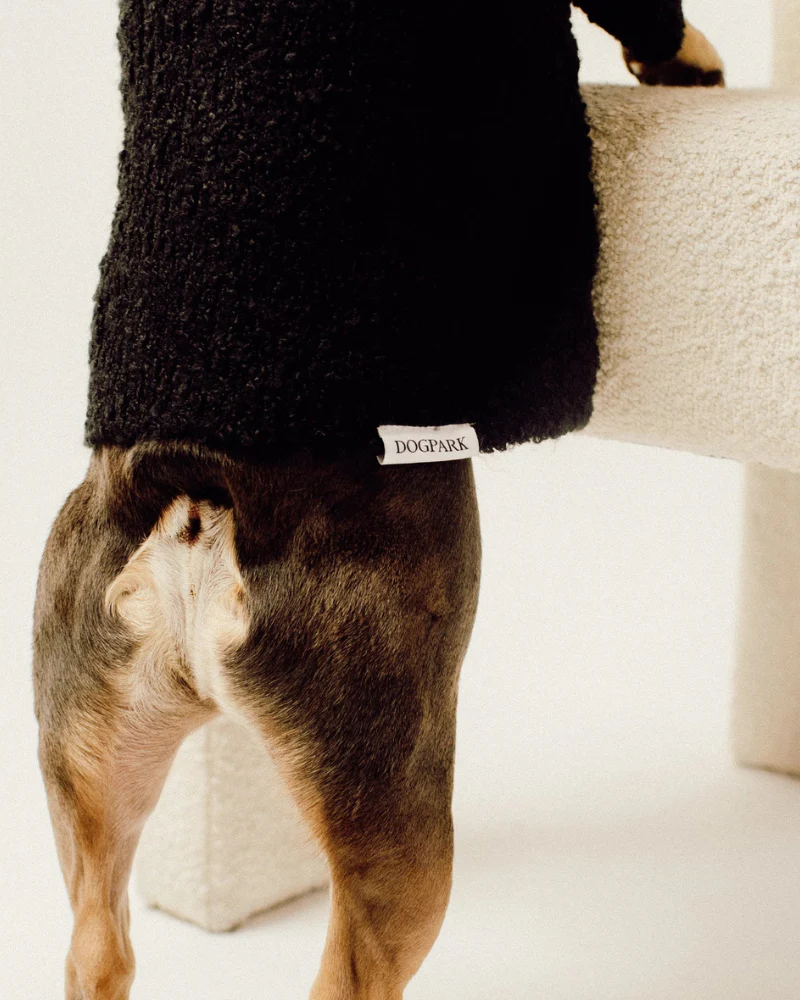 Boucle Dog Sweater in Black (FINAL SALE) - Image 3