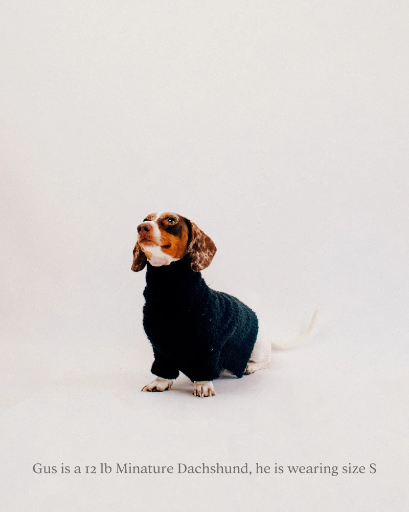 Boucle Dog Sweater in Black (FINAL SALE) - Image 6