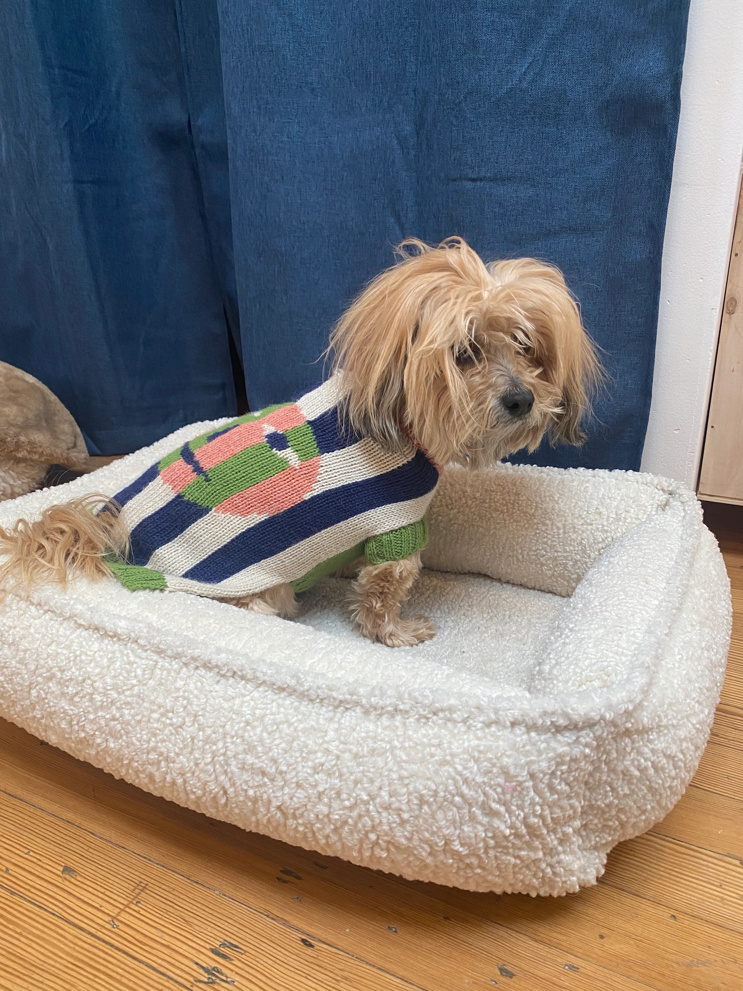 Urban Lounger Dog Bed in Ivory Sheepskin (In-Store) - Image 8