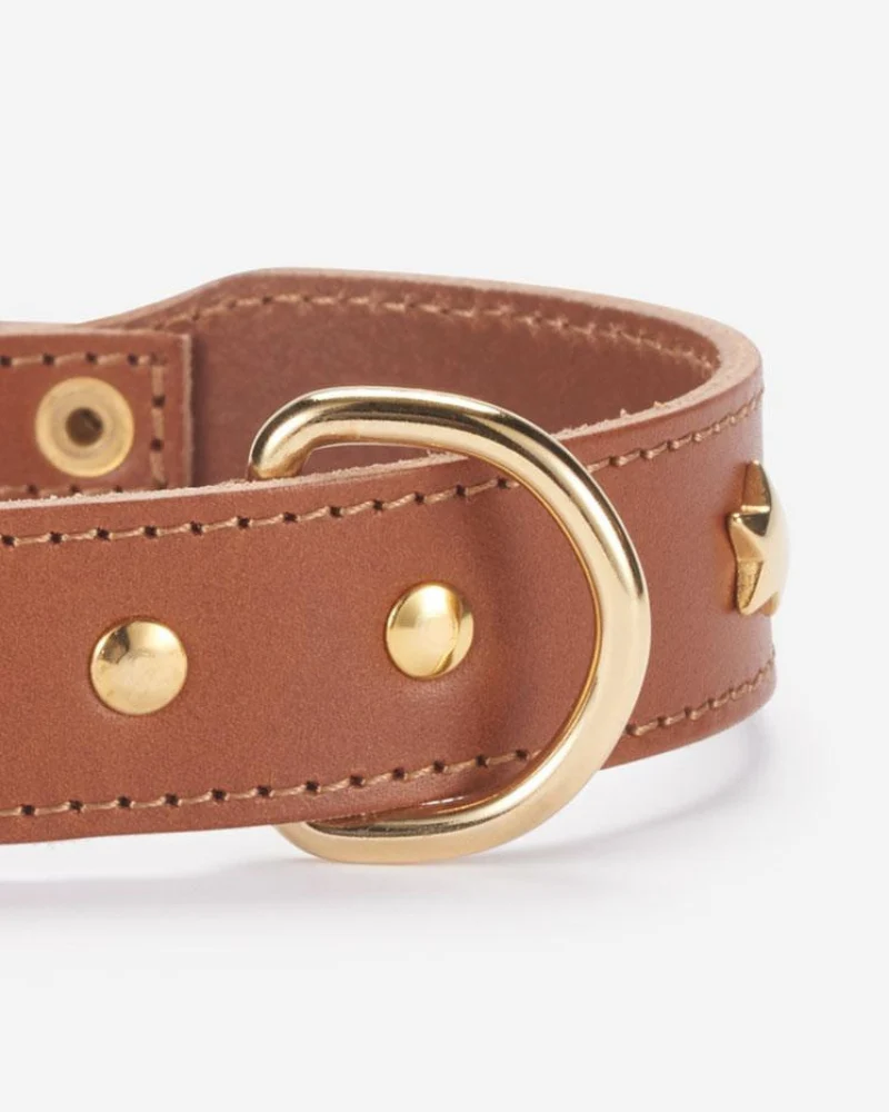 Cognac Leather Dog Collar with Brass Stars (Made in Italy) - Image 3