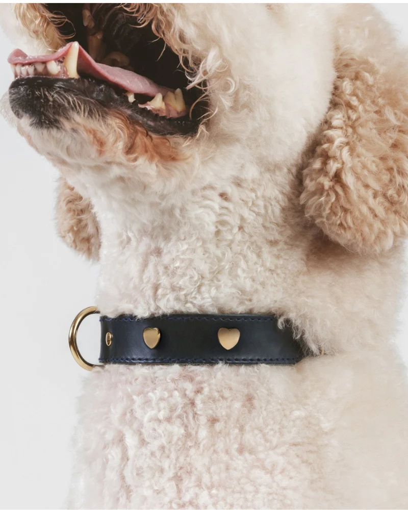 Lily Black Leather Dog Collar with Brass Hearts (Made in Italy) (FINAL SALE) - Image 3