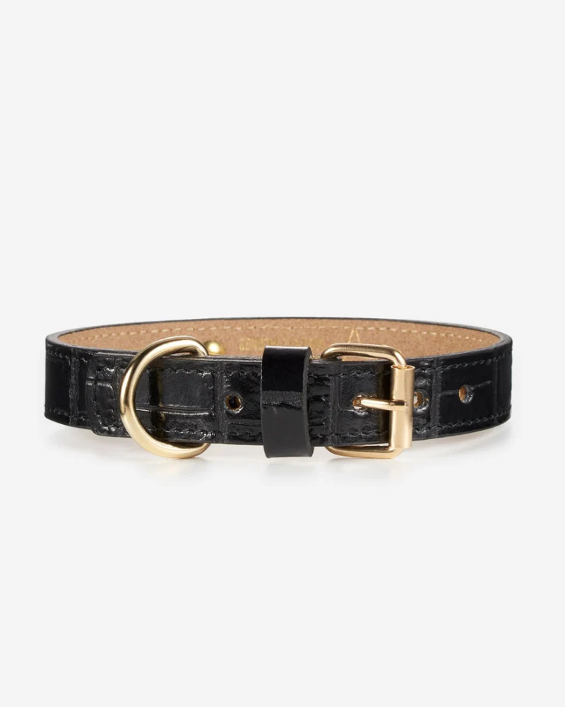 Lia Crocodile Print Leather Dog Collar in Black (Made in Italy) (CLEARANCE) - Image 3