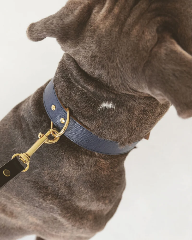Moni Dog Collar in Navy Leather (Made in Italy) (FINAL SALE) - Image 4