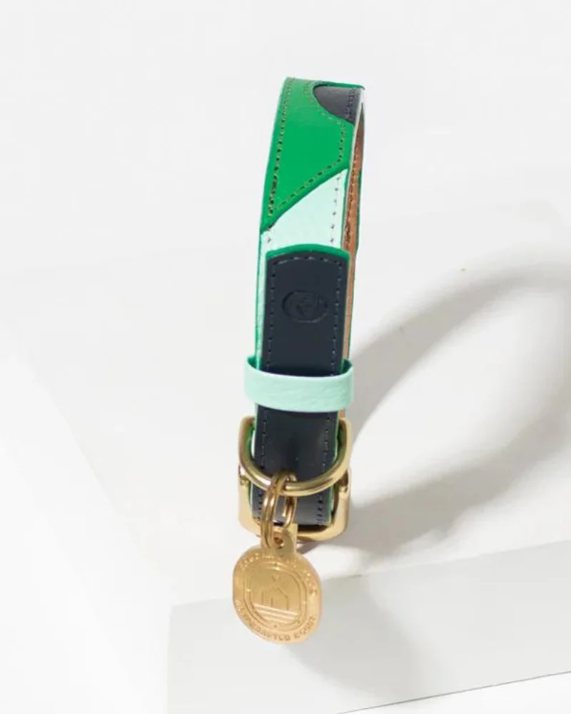 Brave Leather Dog Collar (Made in Guatemala)