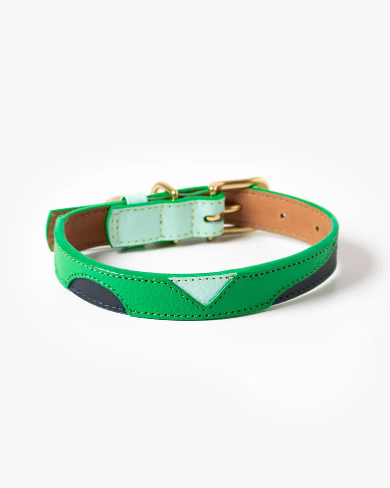 Brave Leather Dog Collar (Made in Guatemala) - Image 3