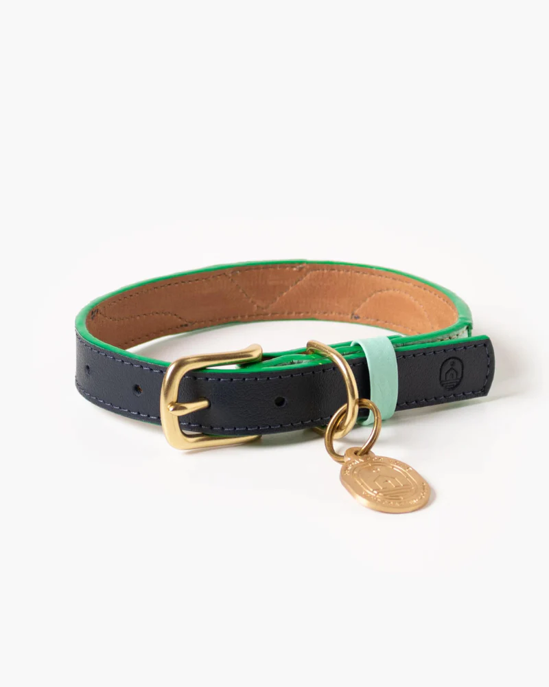 Brave Leather Dog Collar (Made in Guatemala) - Image 4