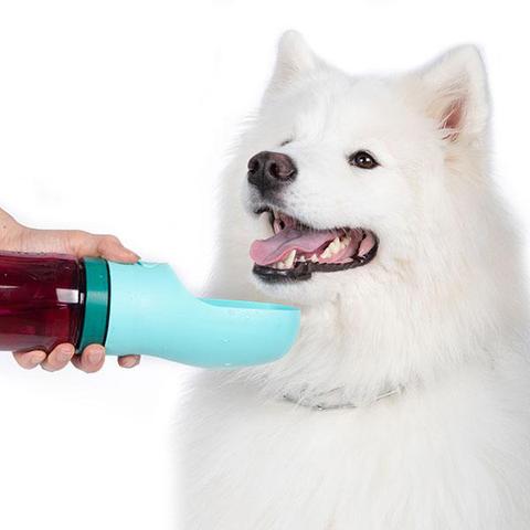 Biodegradable Attachment Bowl for Metal Water Bottles (FINAL SALE) - Image 6