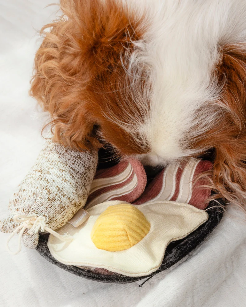 Breakfast Dog Toy Set - Image 5