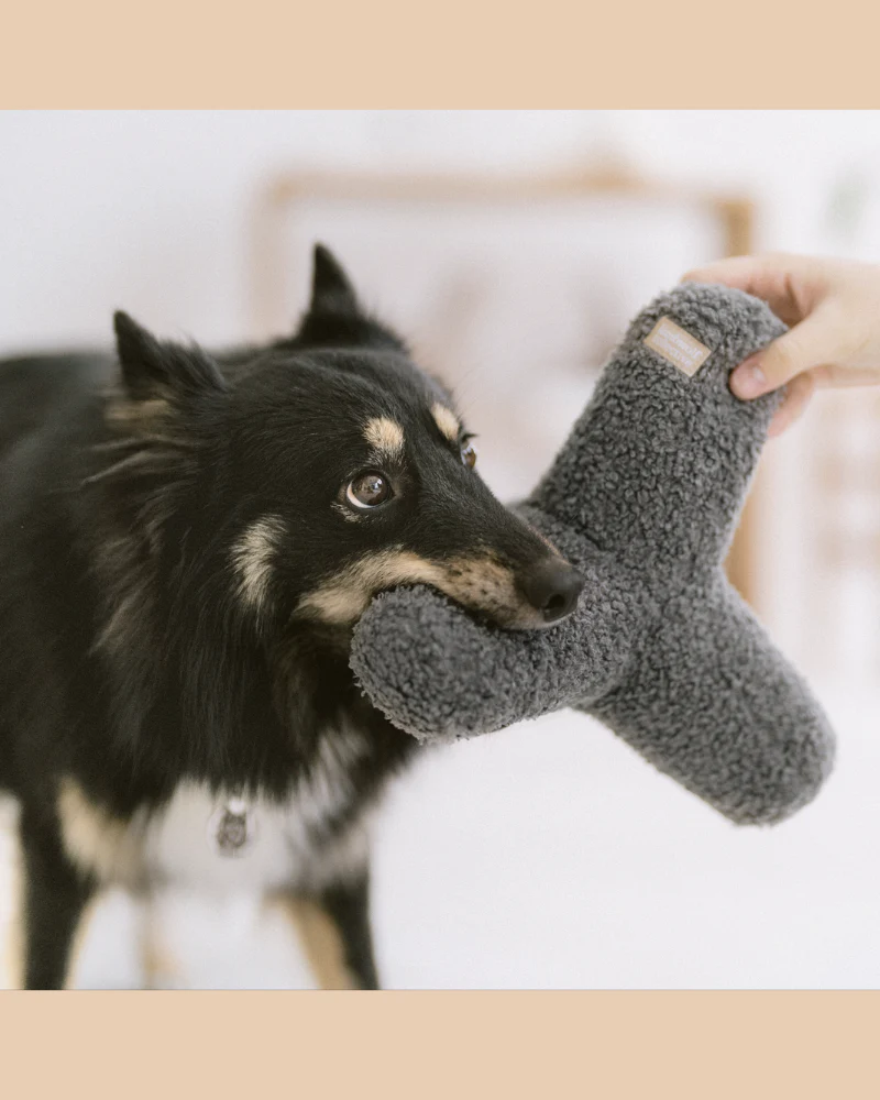 O Breuer Oversized Crinkle & Squeak Dog Toy (FINAL SALE) - Image 6