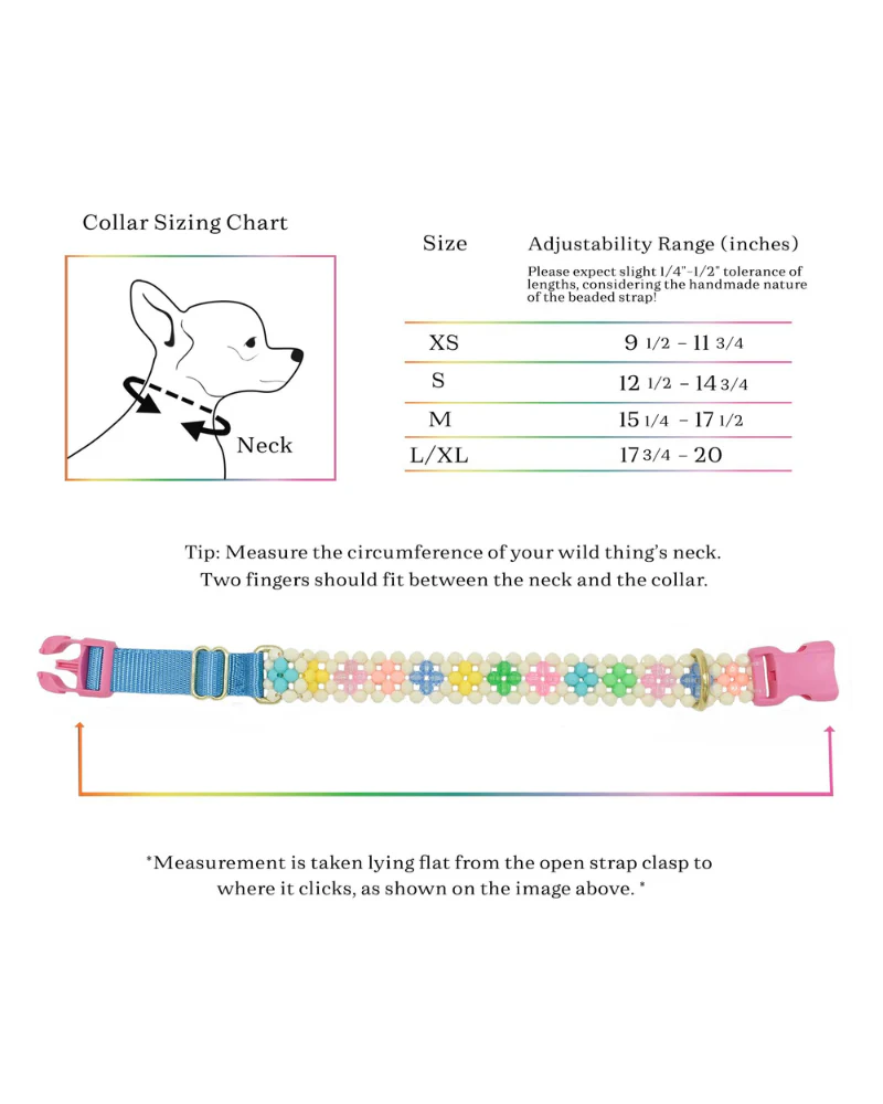 Broadway Beaded Dog Collar in Matinee (Made in the USA) - Image 8