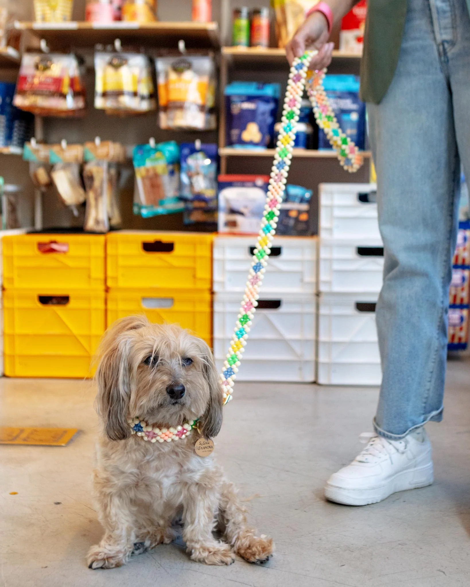 Broadway Beaded Dog Leash in Matinee (Made in the USA) - Image 3