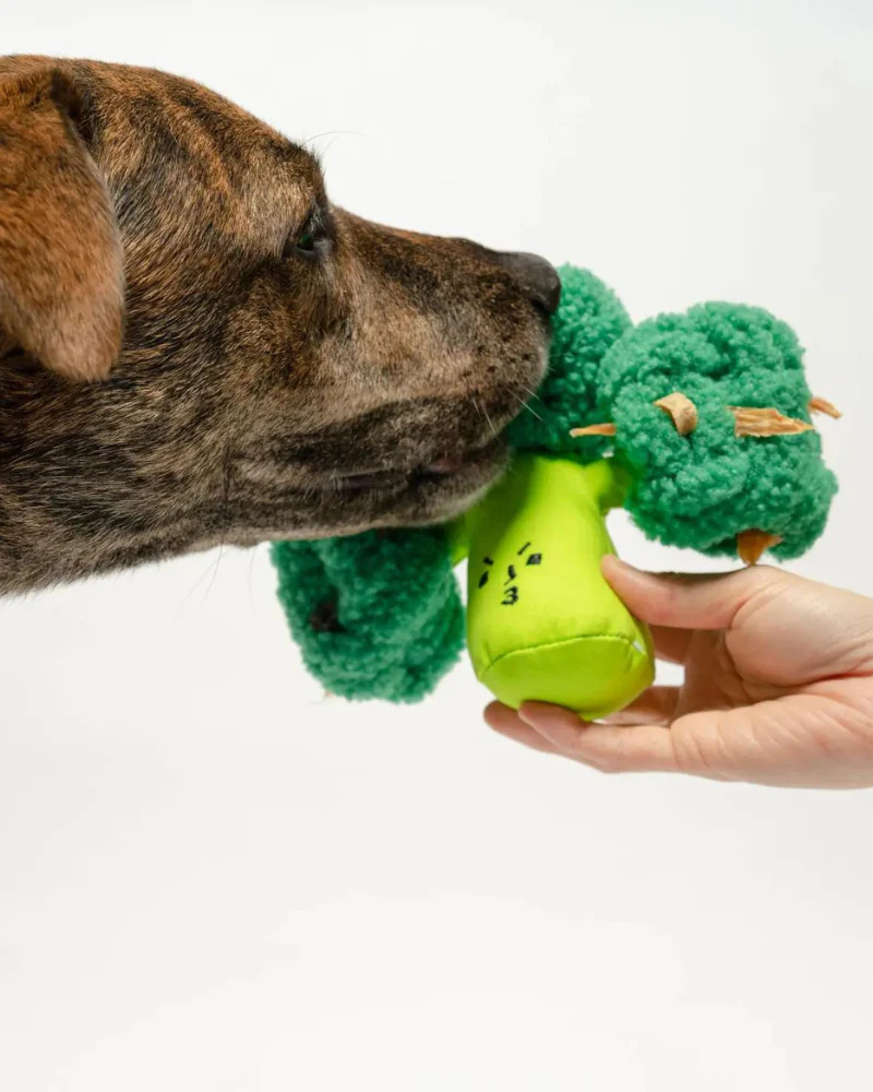 Broccoli Nosework Dog Toy - Image 2