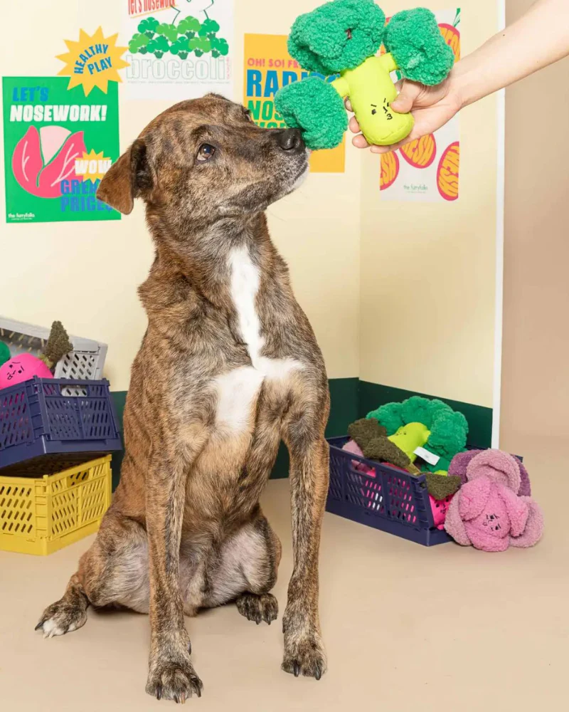 Broccoli Nosework Dog Toy - Image 6