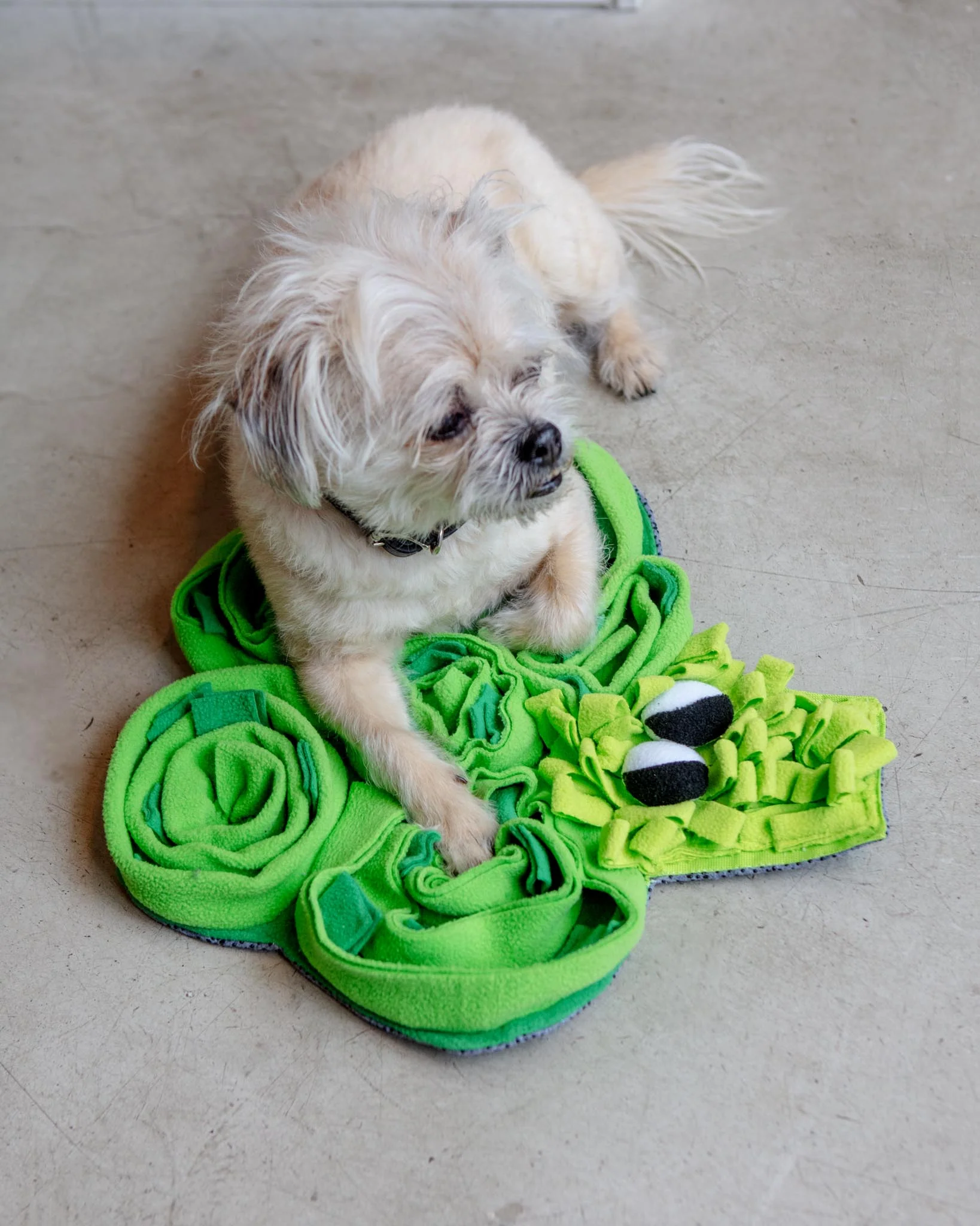 Broccoli Veggie Snuffle Mat Dog Toy (FINAL SALE) - Image 2