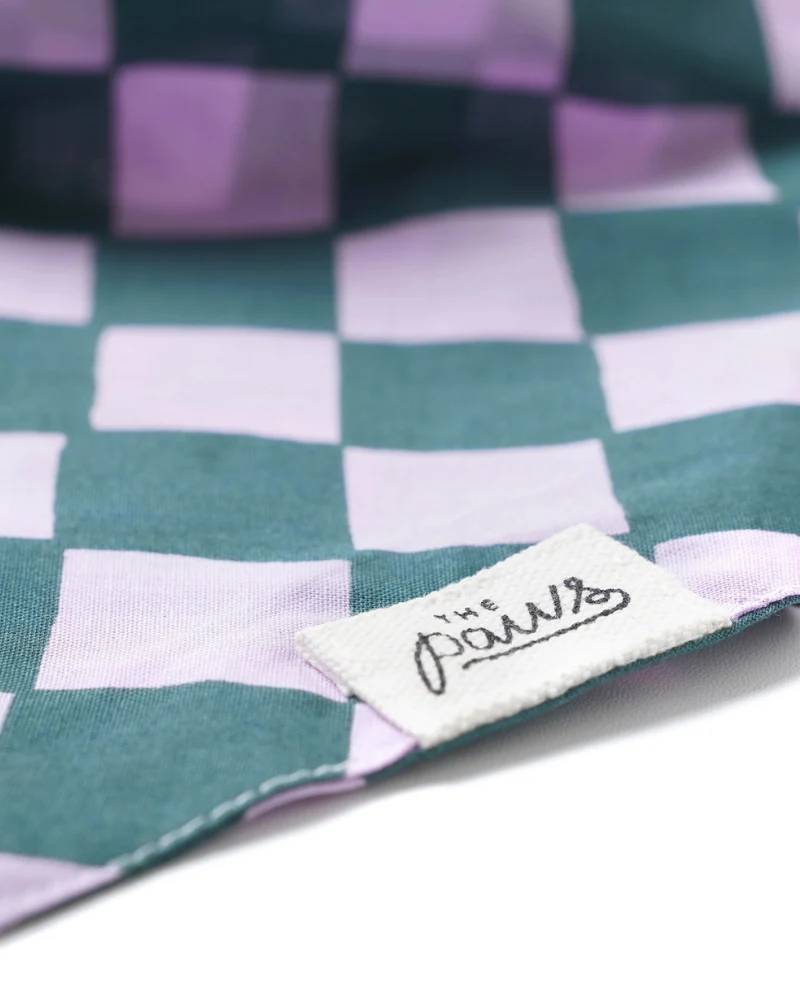 Brooklyn Checkered Dog Bandana (FINAL SALE) - Image 4